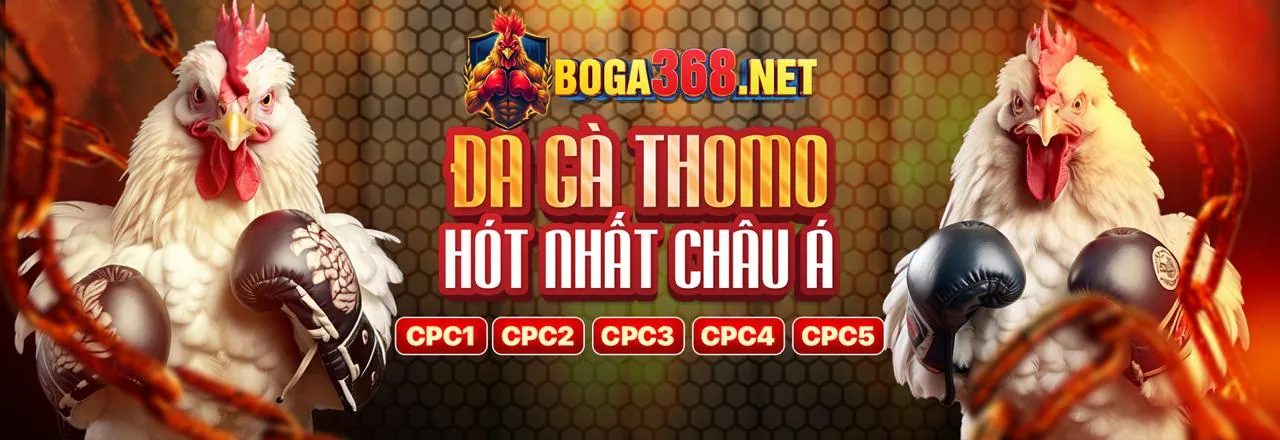 Đá Gà Trực Tuyến acb88 app